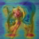 Class activation map of another dog image after 5 epochs